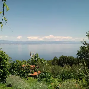 Blue & Mošćenička Draga